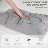 QUTOOL Luxury Hotel Goose Feather Pillow Set of 2, Gray