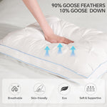 QUTOOL Luxury Hotel Goose Feather Pillow Set of 2, White