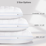 QUTOOL Luxury Hotel Goose Feather Pillow Set of 2, White