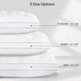 QUTOOL Luxury Hotel Goose Feather Pillow Set of 2, White