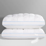 QUTOOL Luxury Hotel Goose Feather Pillow Set of 2, White