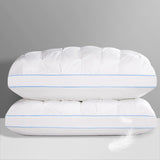 QUTOOL Luxury Hotel Goose Feather Pillow Set of 2, White